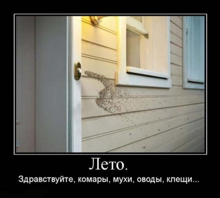 №35, Irina Vi, Санкт-Петербург №35, Irina Vi, Санкт-Петербург