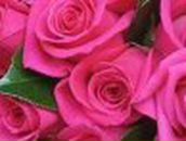 Маша Московкина | Рязань