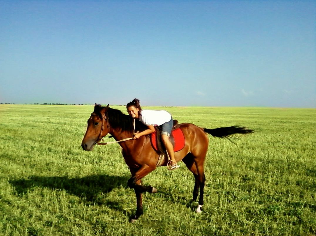 Даша Стрелковская | Киев