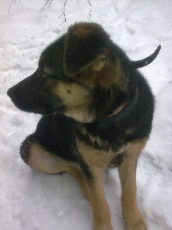 Паша Никулочкин Face-control | Калуга