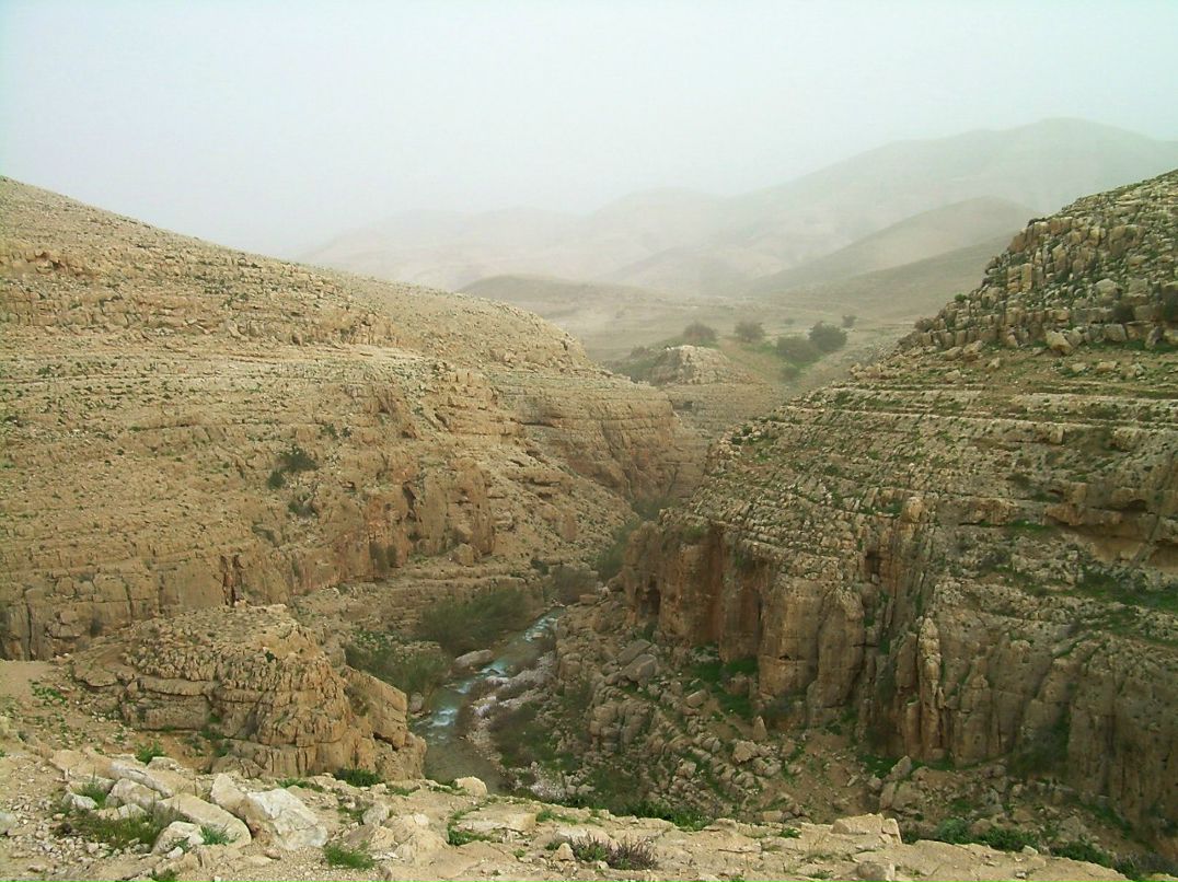 Валентина Вася | Иерусалим