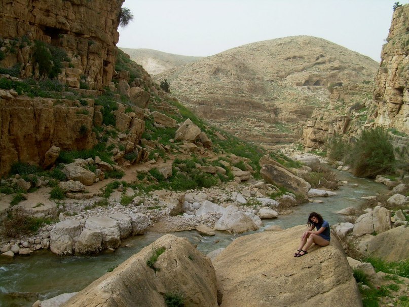 Валентина Вася | Иерусалим