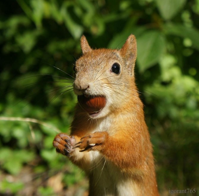 Наташа Васильева | Красноярск