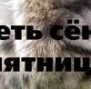 №36 Инга Нива 14.06.1975: профиль, фото, статус - ВКонтакте