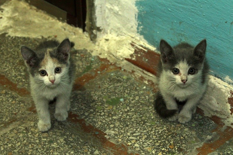 Людмила Гиндулина | Новосибирск