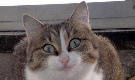 Серёга Пыхов *PiF-PaF d^_^b* | Ярославль