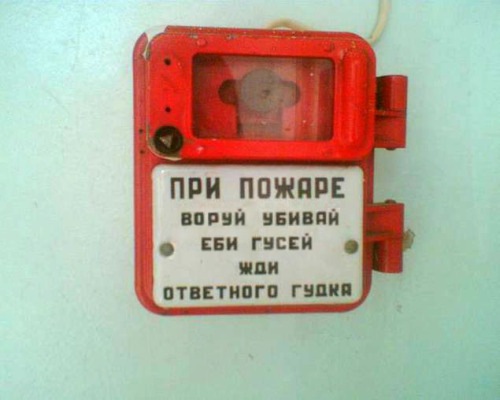 №21, Илья Васильев №21, Илья Васильев