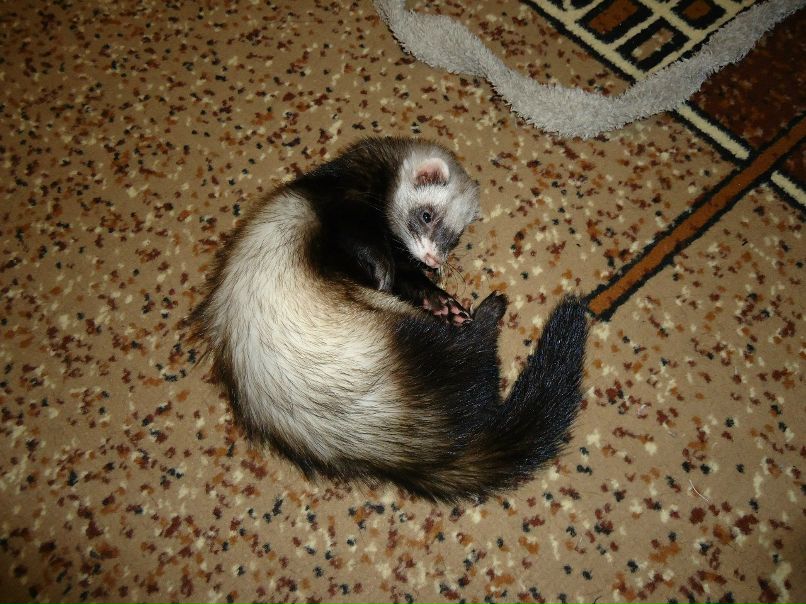 Екатерина Лемасова | Арзамас