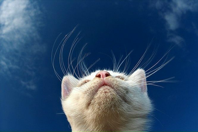 №67, Валентин Вербицкий, 44 года, Ялта №67, Валентин Вербицкий, 44 года, Ялта