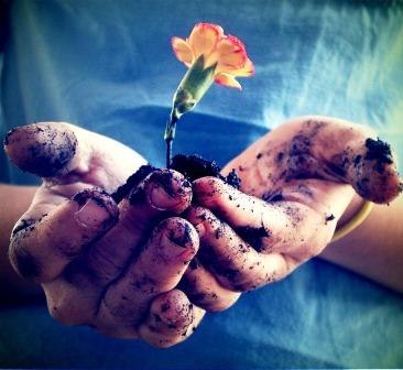 Дмитрий Черешнев | Кашира (деревня)