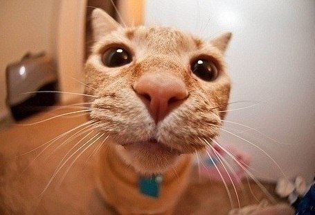 Александр Сазанов | Москва