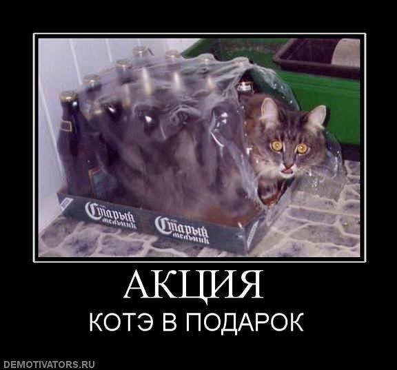 Анатолий Алемайкин }I{YK | Пенза