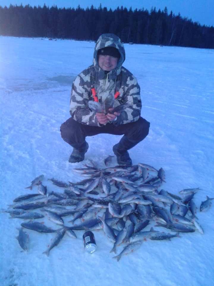 Илья Иииииииии | Санкт-Петербург