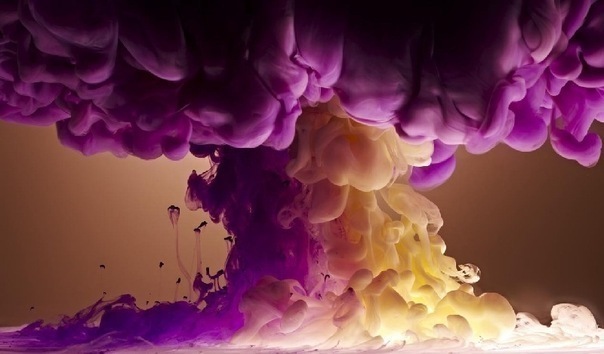 №114, Даша Брюхова, Донецк №114, Даша Брюхова, Донецк