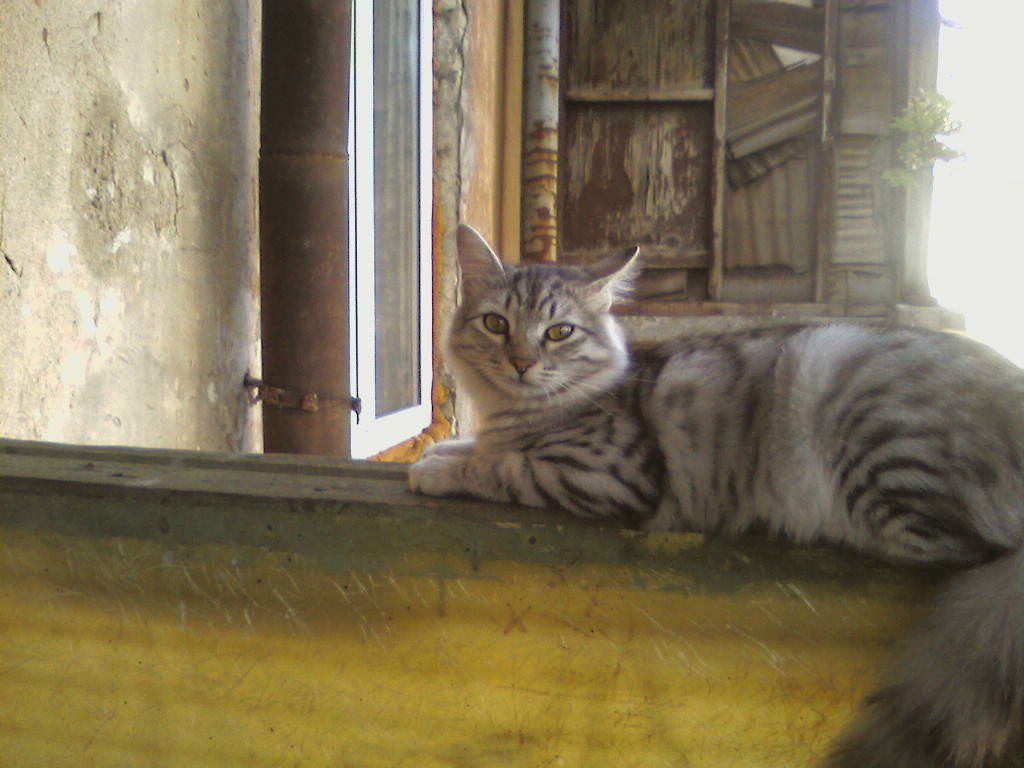 Варвара Пивоварова | Одесса