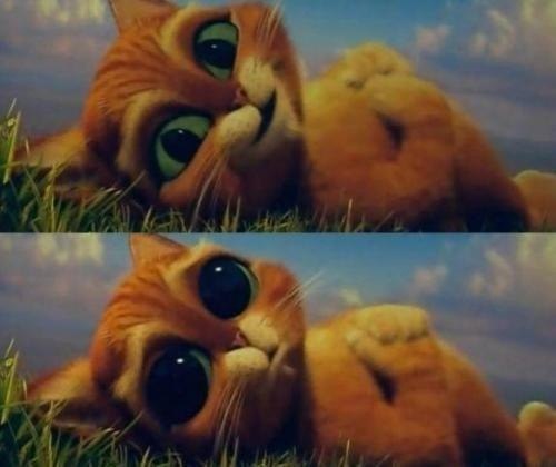 Мария Небаракова | Екатеринбург