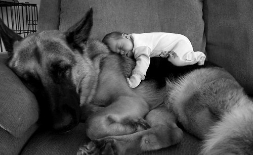 Виктор Цонн | 