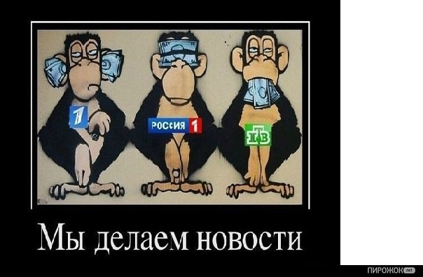 Антон Гайсинов | Димитровград