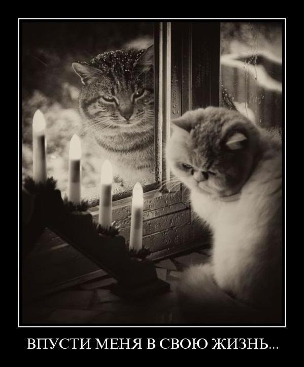 Nazi Nazi ♥dooset daram♥ | Киев