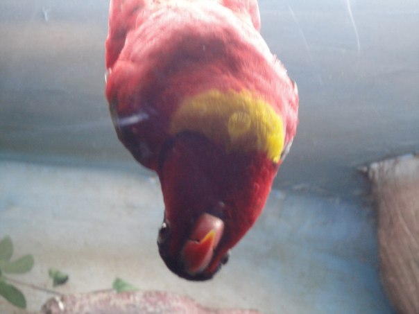 Марина Заяц | Москва