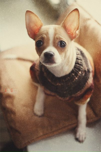 №160, Marta Kokhanevych, Львов №160, Marta Kokhanevych, Львов