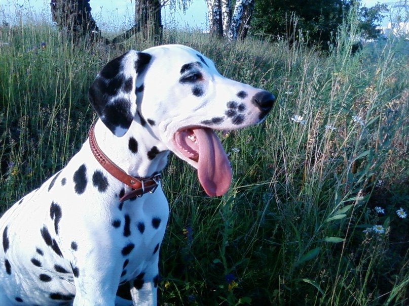 Елена Александровна | Москва