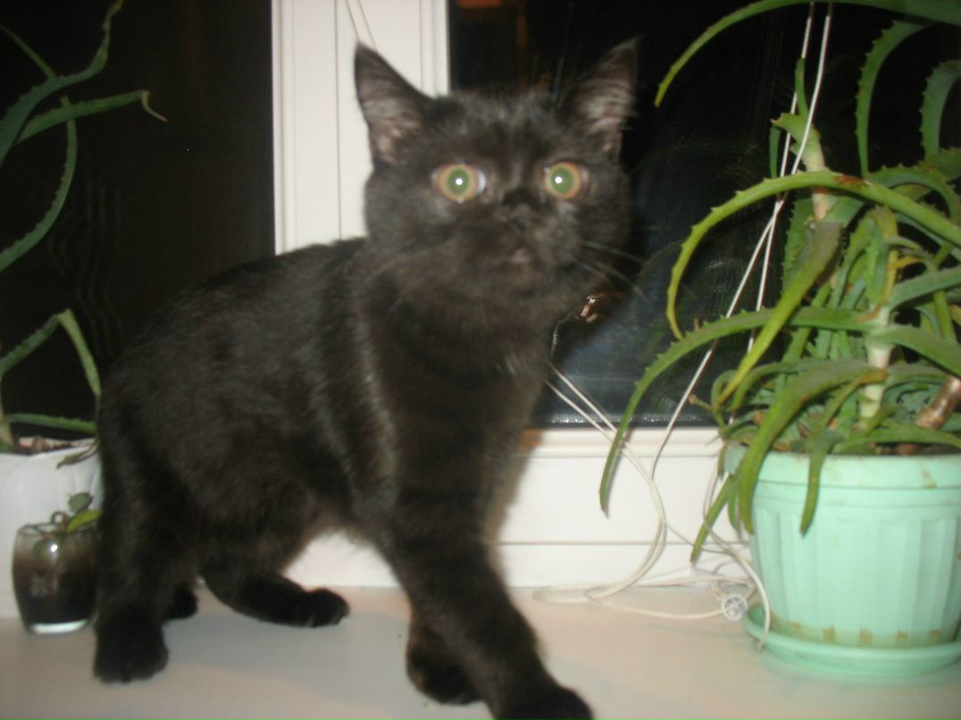 Анастасия Крыгина | 