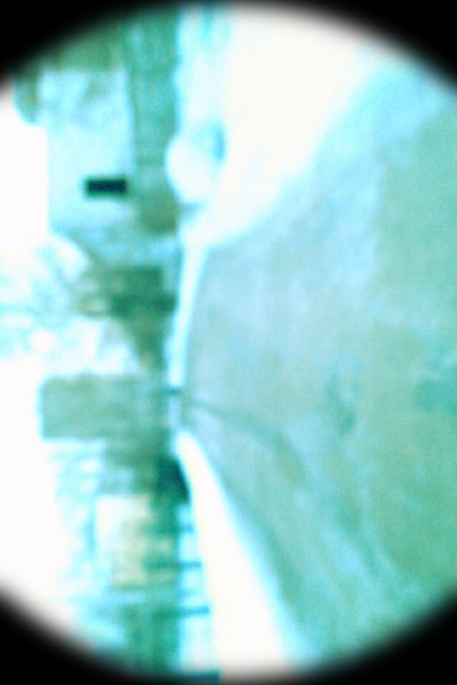 Игорь Сладкий | 