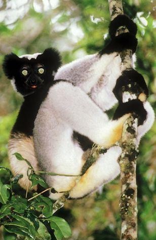 №85, Максим Дудко, Киев №85, Максим Дудко, Киев