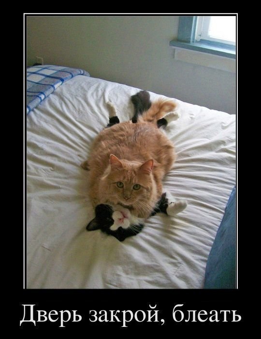 Никита Шавергин | Калуга