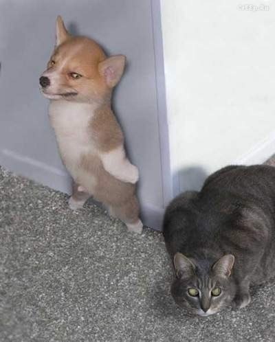 Олег Викторович | Дружный