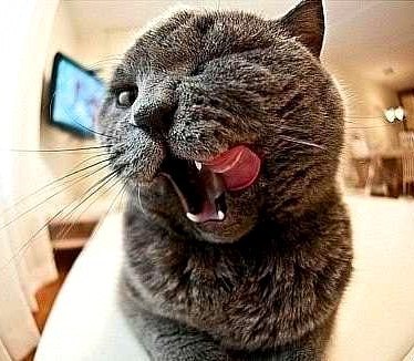 Павел Кузнецов | Раменское