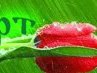 Татьяна Викторова | Белгород