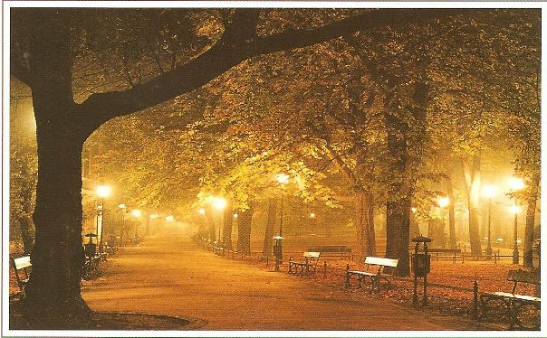 №3, Taras Myronovich, Львов №3, Taras Myronovich, Львов