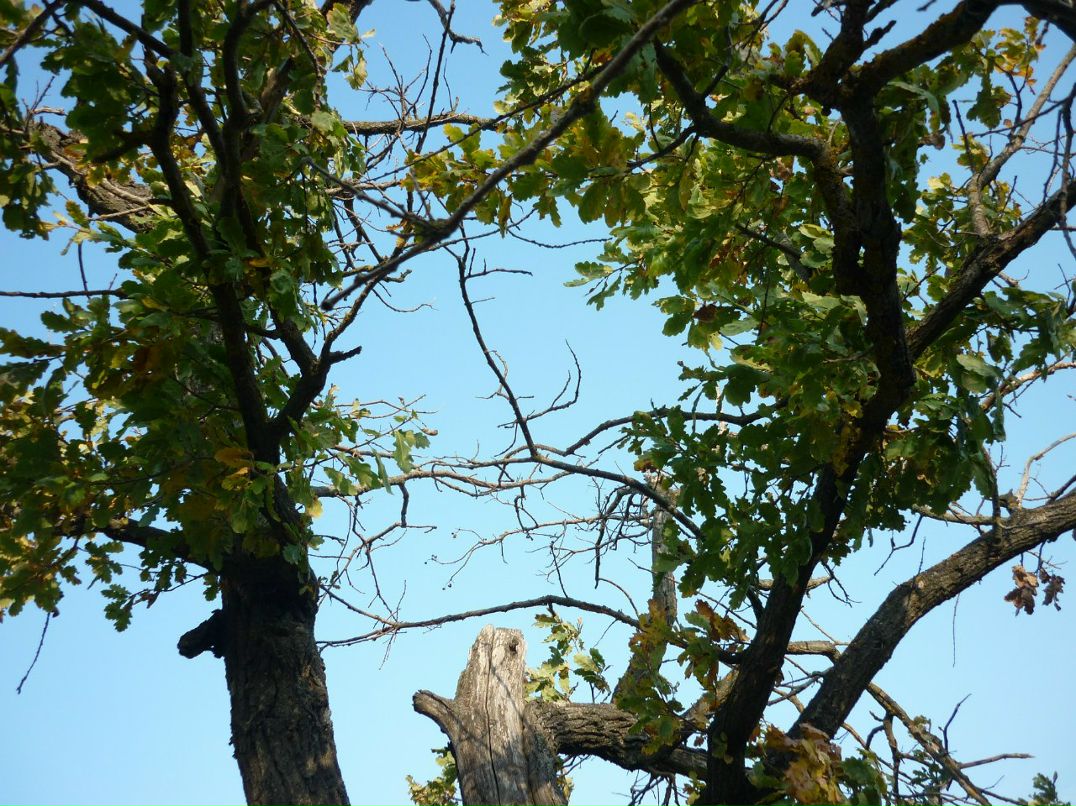 Виталий Селиванов #Morgan# | Михайловка