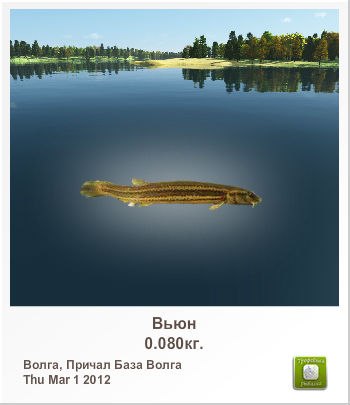 Деня Ломан | Киев