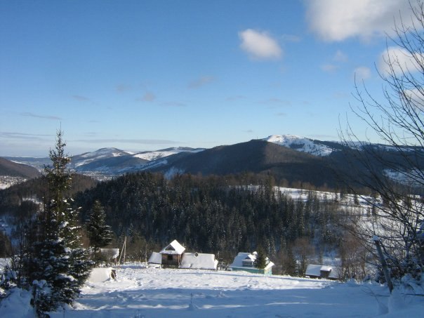 Наталія Тацишин-Войчишин | Ивано-Франковск