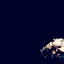 №8, Ryslana Amatory...), Львов №8, Ryslana Amatory...), Львов