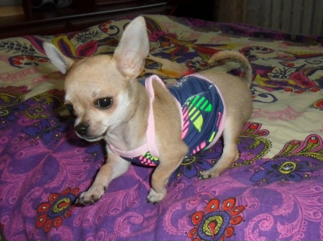 Лена Горбушина | Казань