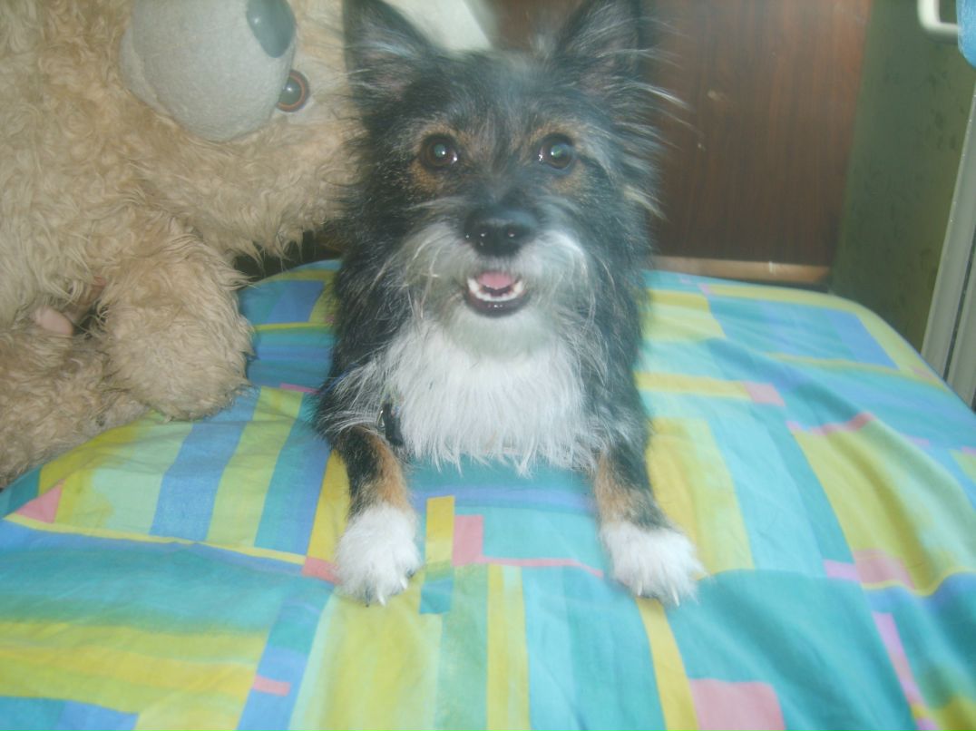 Наталья Лазарева <<<люблю моего Данечку>>> | Петрозаводск