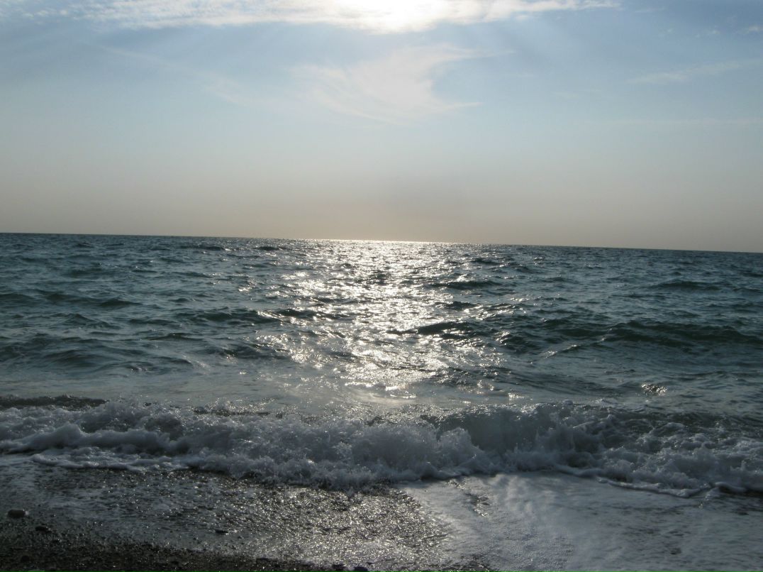 Анна Щелинская | 