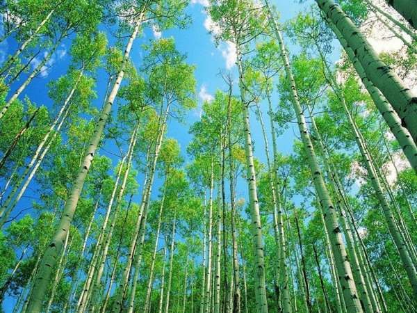 №39, Наталья Гажа, Харьков №39, Наталья Гажа, Харьков