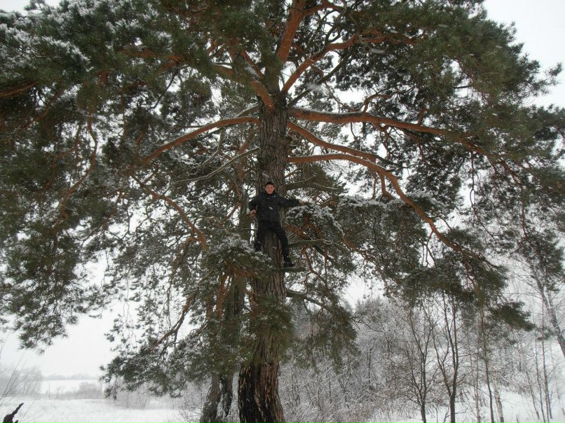 Александр Моссур | Бердянск