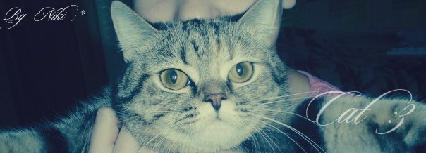 №4, Кристина Рыбакова №4, Кристина Рыбакова