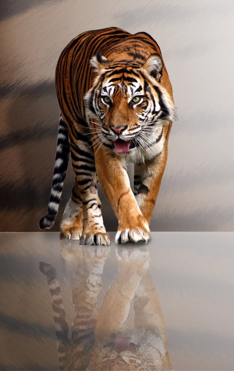 Ваня Гончар | 