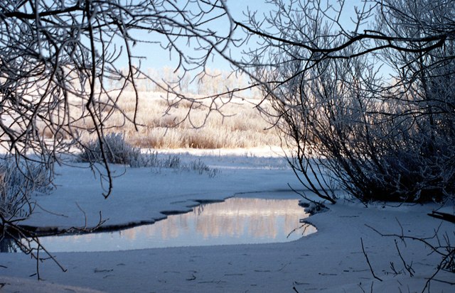 Евгений Боровлев | Курск