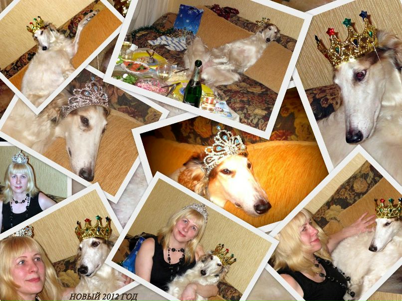 Ольга Зайцева | Санкт-Петербург