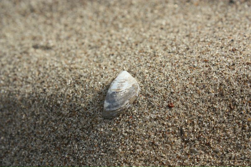 Алёна Слуднова | 