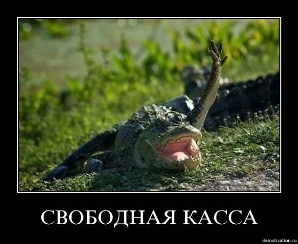 Кристина Середа | Киев