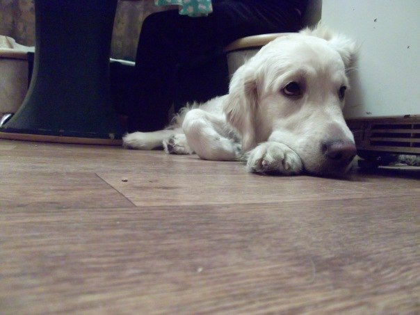 Бакаянова Мария | Санкт-Петербург